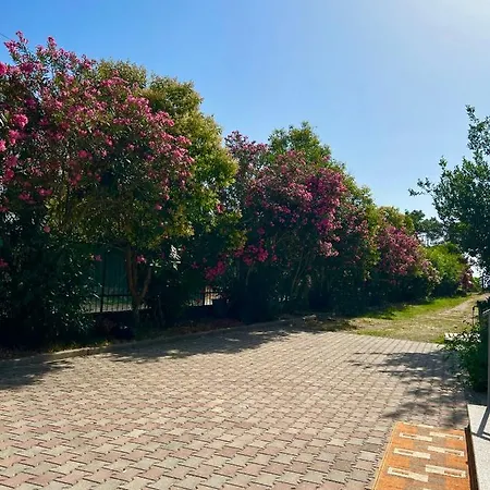 Apartment Kune,Shengjin Exterior photo